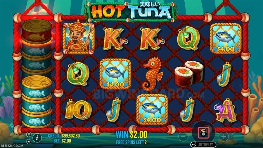 bmw555 Gambling Glossary of Terms